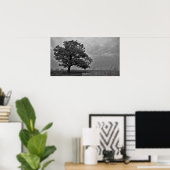 Zwart-wit eiken boom Poster Print (Thuiskantoor)