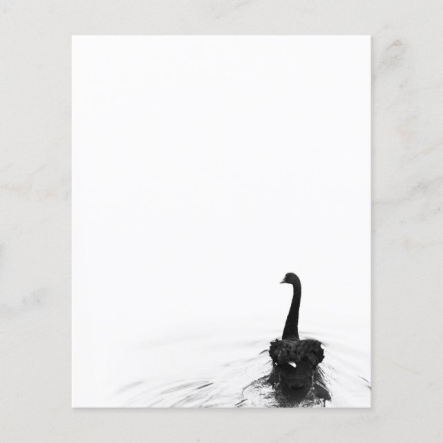 Zwart-wit Elegant Black Swan (Voorkant)
