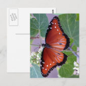 Zwart-wit en Rood helemaal over Briefkaart (Voorkant / Achterkant)