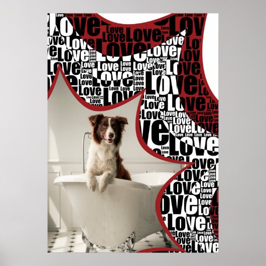 Zwart-wit en rood, omringd door liefde, honden zwe poster (Voorkant)
