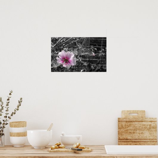 Zwart, wit en roze Hibiscus Poster (Keuken)
