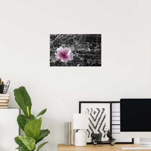 Zwart, wit en roze Hibiscus Poster (Thuiskantoor)