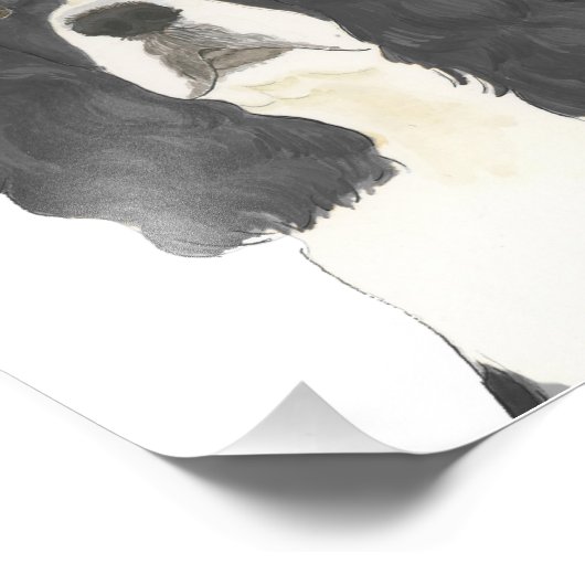 Zwart & Wit Engels Springer Spaniel Art Foto Afdruk (Hoek)