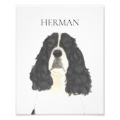 Zwart & Wit Engels Springer Spaniel Art Foto Afdruk (Voorkant)