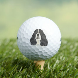 Zwart-wit Engels Springer Spaniel Golfballen