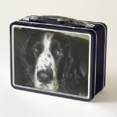 Zwart-wit Engelse Springer Spaniel Foto (Achterkant)