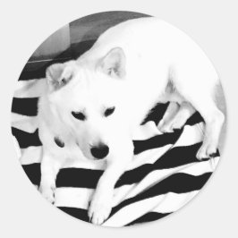 Zwart-wit Eno Sticker