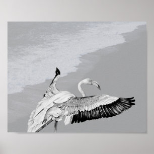Zwart-wit Flamingo Tropische afdrukbare kunst Poster