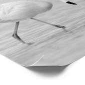 Zwart-wit Flamingo Tropische afdrukbare kunst Poster (Hoek)