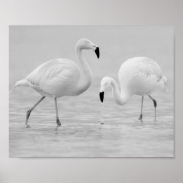 Zwart-wit Flamingo Tropische afdrukbare kunst Poster