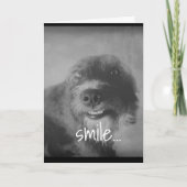 Zwart-wit foto Grappige hond Humoristische verjaar Kaart (Voorkant)