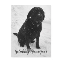 Zwart-Wit Foto Nieuwjaar kerstkaart