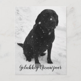 Zwart-Wit Foto Nieuwjaar kerstkaart Briefkaart