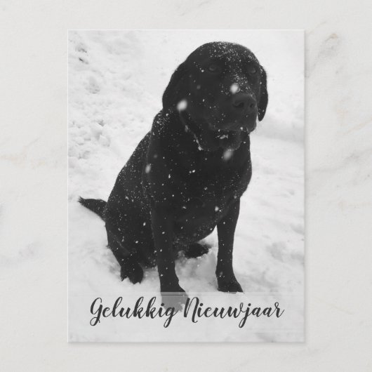 Zwart-Wit Foto Nieuwjaar kerstkaart Briefkaart (Voorkant)