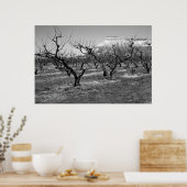 Zwart-wit Foto Poster Lentelandschap (Keuken)