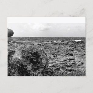 Zwart-wit, Foto, Standaard Briefkaart