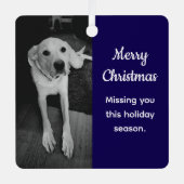 Zwart-wit foto van droevige hond die jou mist Blau Metalen Ornament (Voorkant)