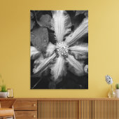 Zwart-wit foto van een Clematis na een regen Canvas Afdruk (Insitu (Woonkamer))