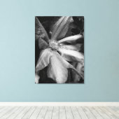 Zwart-wit foto van een Clematis na een regen Canvas Afdruk (Insitu (Houten vloer))