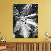 Zwart-wit foto van een Clematis na een regen Canvas Afdruk (Insitu (Woonkamer))