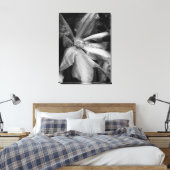 Zwart-wit foto van een Clematis na een regen Canvas Afdruk (Insitu (Slaapkamer))