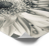 Zwart-wit foto van een margriet bloem poster (Hoek)