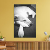 Zwart-wit foto van een mooie hond slapen canvas afdruk (Insitu (Woonkamer))