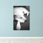 Zwart-wit foto van een mooie hond slapen canvas afdruk (Insitu (Houten vloer))