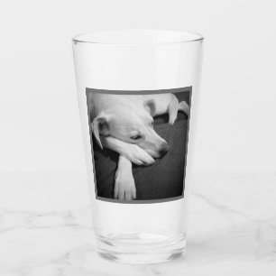 Zwart-wit foto van een mooie hond slapen glas
