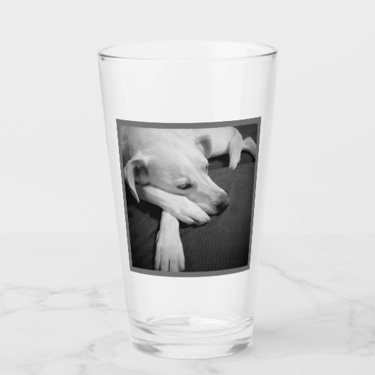 Zwart-wit foto van een mooie hond slapen glas (Voorkant)
