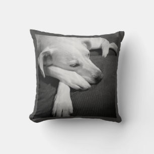 Zwart-wit foto van een mooie hond slapen kussen