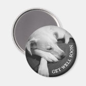 Zwart-wit foto van een mooie hond slapen magneet (Voorkant / Achterkant)