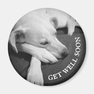 Zwart-wit foto van een mooie hond slapen magneet