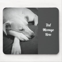 Zwart-wit foto van een mooie hond slapen