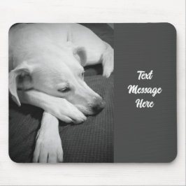 Zwart-wit foto van een mooie hond slapen muismat