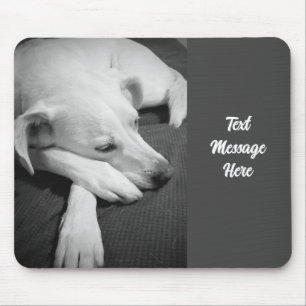 Zwart-wit foto van een mooie hond slapen muismat