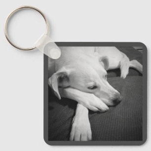 Zwart-wit foto van een mooie hond slapen sleutelhanger