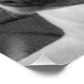 Zwart-wit foto van een mooie zielige hond perfect poster (Hoek)