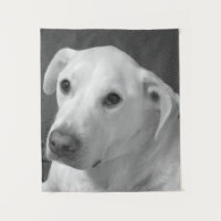 Zwart-wit foto van een mooie zielige hond