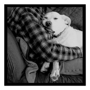 Zwart-wit foto van hond knuffelen met papa perfect poster