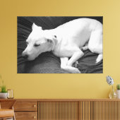 Zwart-wit foto van mooie hond slapen canvas afdruk (Insitu (Woonkamer))