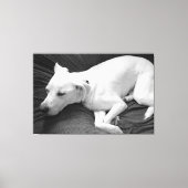 Zwart-wit foto van mooie hond slapen canvas afdruk (Voorkant)