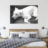 Zwart-wit foto van mooie hond slapen canvas afdruk (Insitu (Slaapkamer))