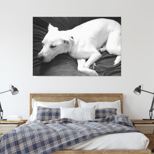 Zwart-wit foto van mooie hond slapen canvas afdruk (Insitu (Slaapkamer))