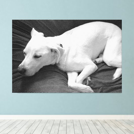 Zwart-wit foto van mooie hond slapen canvas afdruk (Insitu (Houten vloer))