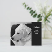 Zwart-wit foto van mooie witte hond briefkaart (Staand voorkant)