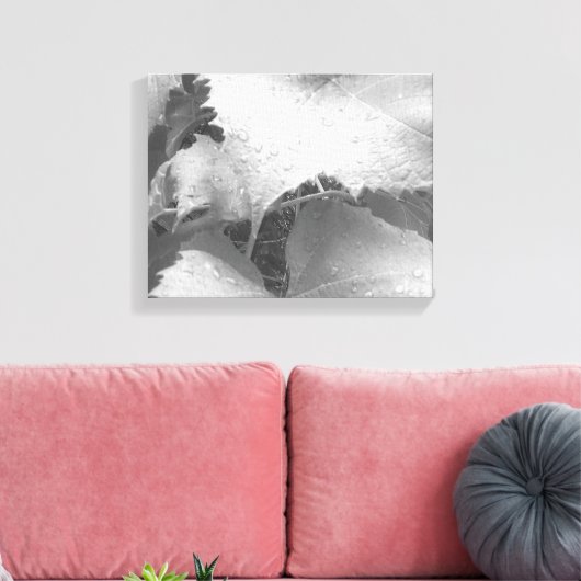 Zwart-wit foto van natte en dewy druivenbladeren canvas afdruk (Insitu (Woonkamer))