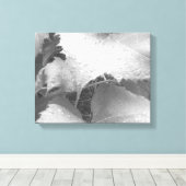 Zwart-wit foto van natte en dewy druivenbladeren canvas afdruk (Insitu (Houten vloer))