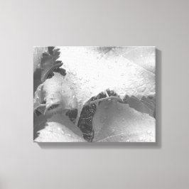 Zwart-wit foto van natte en dewy druivenbladeren canvas afdruk