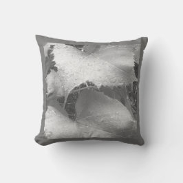 Zwart-wit foto van natte en dewy druivenbladeren kussen